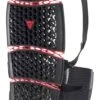 Dainese Pro-Armor Back Long Rugprotector