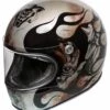 Trophy BD Titanium Motorhelm